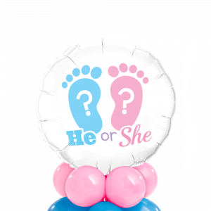 CENTROTAVOLA HE OR SHE?