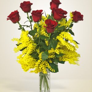 Rose rosse e mimosa